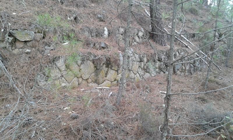 Muro no Castelo de Laias (Ourense)